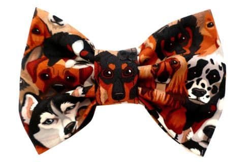BEST OF BREED BOW TIE