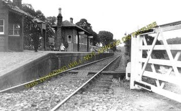 Abbotsford Ferry Railway Station Photo. Galashields - Lindean. Selkirk Line. (1)