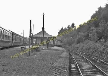 Arrochar & Tarbet Railway Station Photo. Whistlefield - Ardlui. (4)