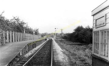 Ashcott & Meare Railway Station Photo. Glastonbury - Shapwick. S&DJR. (19)