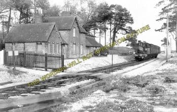 Ashey Railway Station Photo. Ryde - Haven Street. Newport Line. (1)