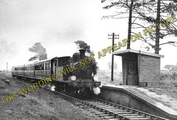 Ashey Railway Station Photo. Ryde - Haven Street. Newport Line. (4)