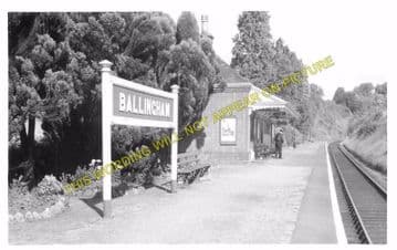 Ballingham Railway Station Photo. Holme Lacy - Fawley. Hereford to Ross. (2)