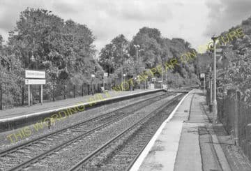 Betchworth Railway Station Photo. Dorking - Reigate. Guildford to Redhill. (12)