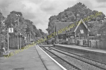 Betchworth Railway Station Photo. Dorking - Reigate. Guildford to Redhill. (15)