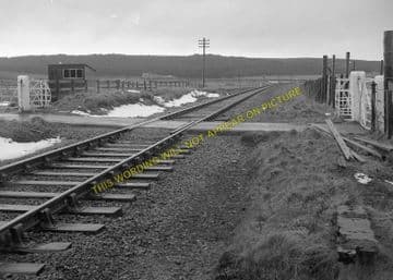 Borrobol Railway Station Photo. Kildonan - Kinbrace. Helmsdale to Forsinard. (1)