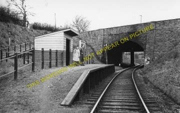 Carreghofa Railway Station Photo. Llanymynech - Llansantffraid. (2)