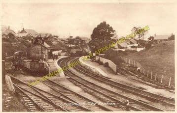 Crymmych Arms Railway Station Photo. Glogue - Boncath. Whitland to Cardigan. (2)