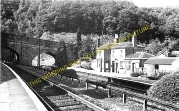 Dinmore Railway Station Photo. Moreton-on-Lugg - Ford Bridge. Hereford Line. (1)