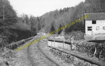 Fronfraith Railway Station Photo. Abermule - Kerry. Cambrian Railway. (1)..