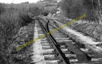 Goitre Railway Station Photo. Abermule - Kerry. Cambrian Railway. (1)..