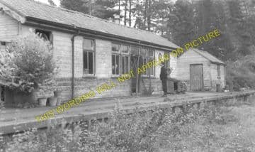 Langley Railway Station Photo. Elrimgton - Staward. Hexham to Allendale Line (3)