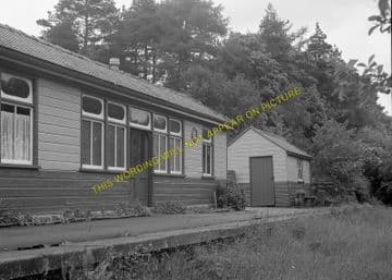 Langley Railway Station Photo. Elrington - Staward. Hexham to Allendale Line (6)