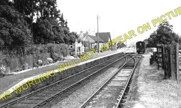 Llandinam Railway Station Photo. Moat Lane Jct. - Dolwen. Llanidloes Line. (1)..