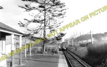 Llanfechain Railway Station Photo. Llansantffraid- Bryngwyn. Llanfyllin Line (2)