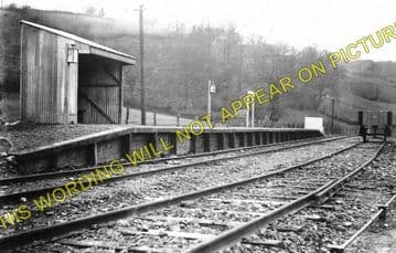 Llanyblodwell Railway Station Photo. Porthywaen - Glanyrafon. Llangynog Line (1)