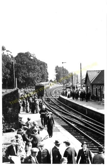 Newcastleton Railway Station Photo. Kershope Foot - Steele Road. (4)
