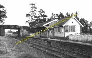 Norton in Hales Railway Station Photo. Market Drayton - Pipe Gate. NSR. (1).