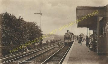 Slamannan Railway Station Photo. Avonbridge to Longriggend Line. (3)