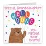 Granddaughter Exams Passed Bears Card
