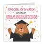 Grandson Graduation Bears Card