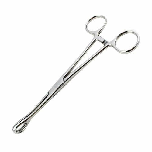 New Sponge Holding Forceps Serrated Surgical Body Piercing Gynecology Instrument