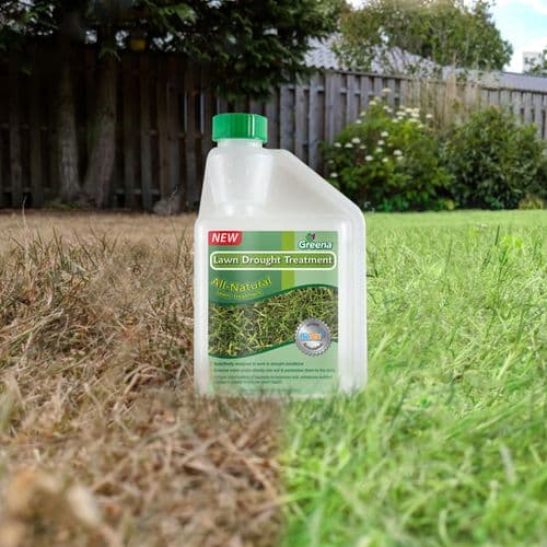 All Natural Lawn Drought Treatment