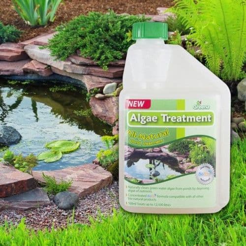 All Natural  Pond Algae Treatment