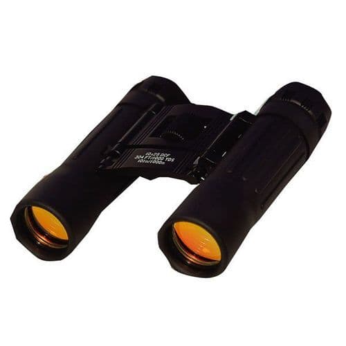 Compact Folding Binoculars