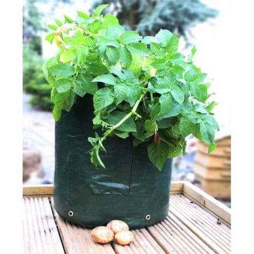 Potato Planter £6.99