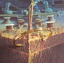 RMS Titanic Wreck Site Coordinates Gold Bracelet