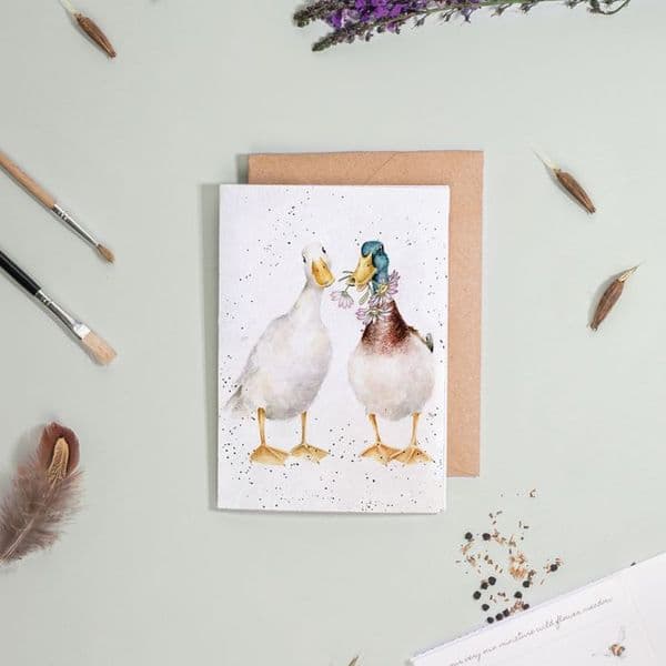 Wrendale Design Not A Daisy goes by ducks Flower Seed Greeting Blank Card 15x10cm