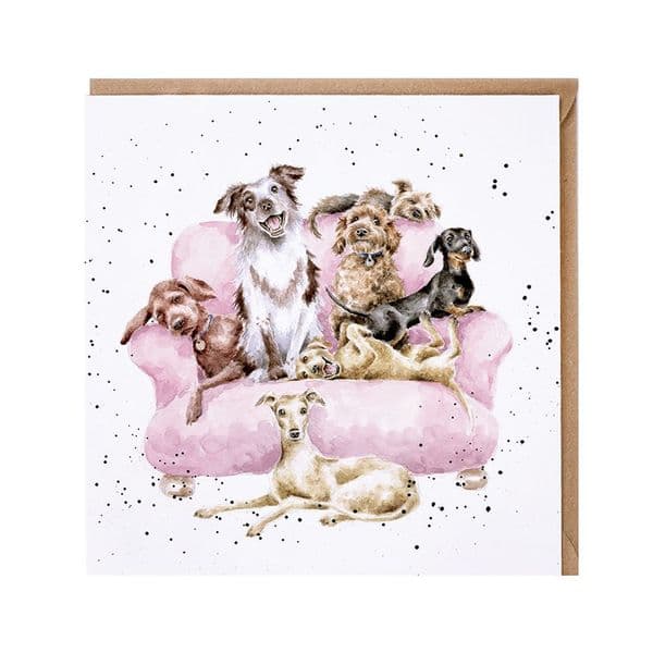Wrendale Designs Movie Night Dogs Blank Inside Greetings Card FSC Paper15x15cm