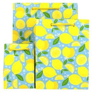 V47197; V45636; V45643 - Lemons Bags 10/PK
