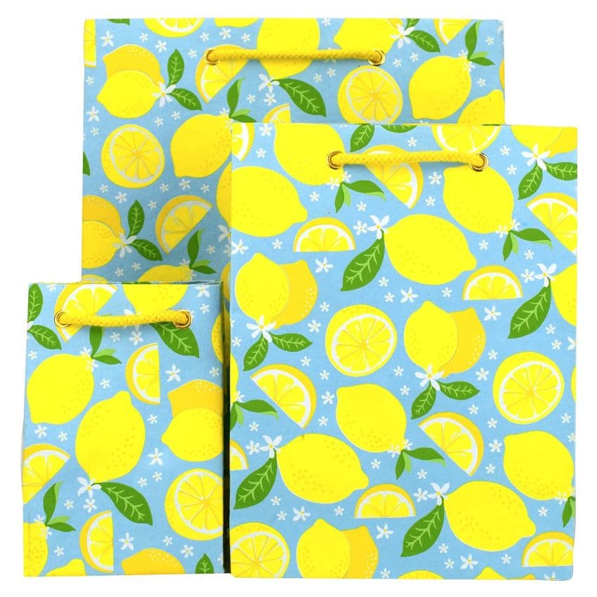 V47197; V45636; V45643 - Lemons Bags 10/PK