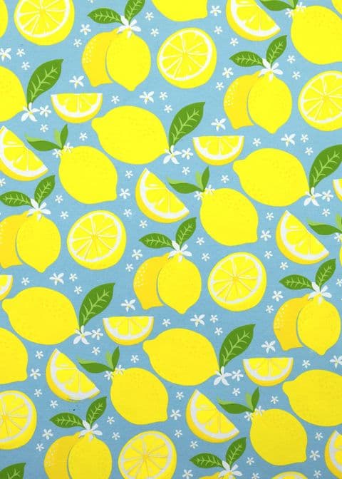 FW348 Lemons