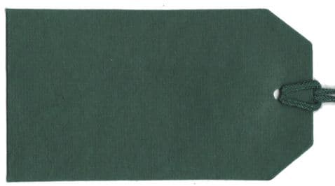 V03872 - Plain Gift Tags Forest Green GTP.65 30/PK