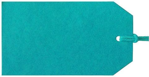 V04749 - Plain Gift Tags Turquoise GTP45 30/PK