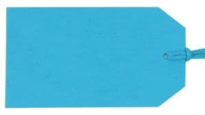 V65691 - Plain Gift Tags Tiffany Blue GTP41 30/PK