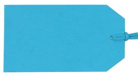 V65691 - Plain Gift Tags Tiffany Blue GTP41 30/PK