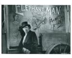 Freddie Jones, ELEPHANT MAN 10 x 8 genuine signed autograph 11106