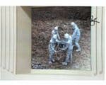 Richard Naylor DOCTOR  WHO "Cyberman"10x8 Genuine Signed Autograph  12100