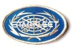 Star Trek Starfleet Oval Logo 10cm Patch