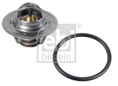 Thermostat With Seal 1.6 BGU, BSE, BSF, CCSA