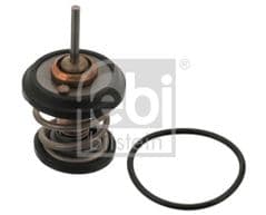 Thermostat With Seal 2.0 TFSi