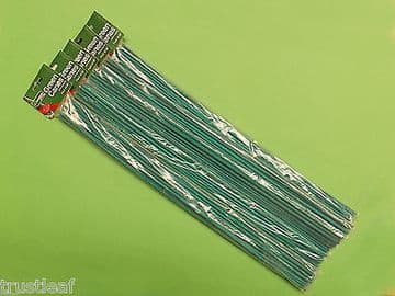 100 Pack of 60cm long Green Canes